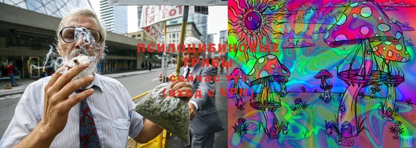 каннабис Вяземский